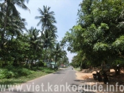 「どれ（の）くらい～」