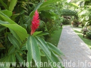 年、月、日、曜日の数え方